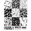 Black & White Matrix Vol. 2 incl. DVD € 130,00 Miglior Prezzo